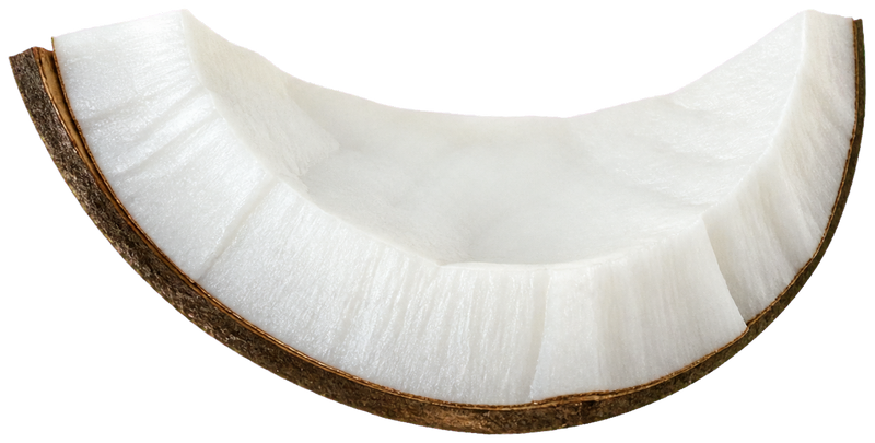 Coconut